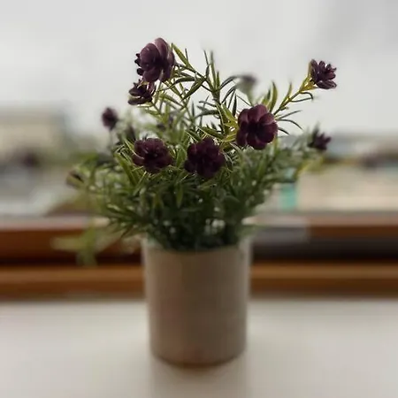 Apartmán Vera's Penthouse