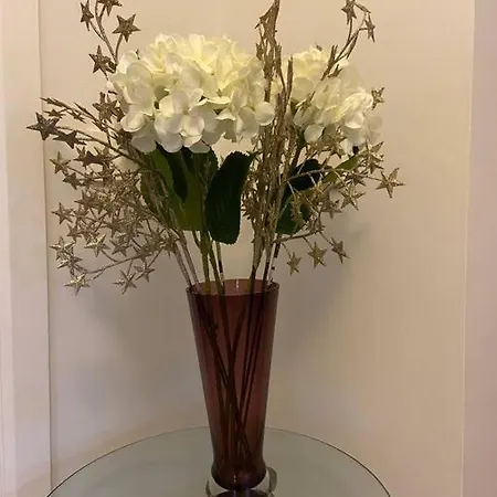 Apartmán Vera's Penthouse *