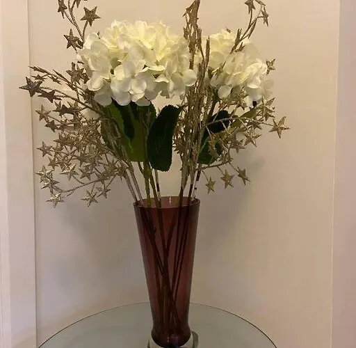 Apartament Vera's Penthouse *